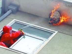 廣州滅馬蜂公司 安全徹底清除殺蜂蟲，兼談保潔清洗服務